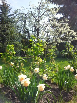 Spring (c) Dr. Eike Hoffmann