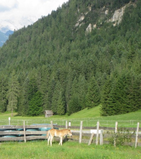 (c) Eike Hoffmann 2010