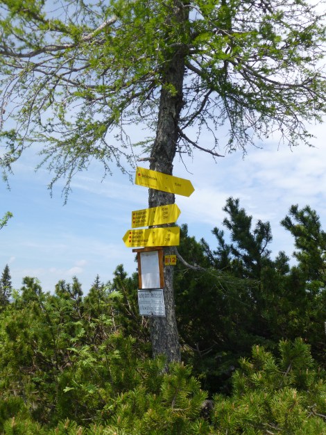 Schildenstein (c) Eike Hoffmann 2013