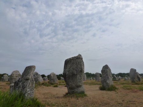 Alignements de Carnac (c) Eike Hoffmann