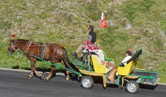Kutsche Zermatt (C) Waltraud Hoffmann