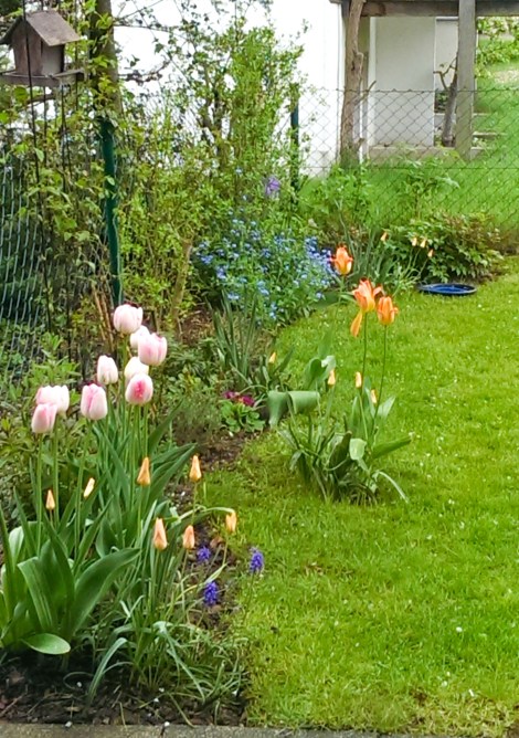 Garten (c) Eike Hoffmann 2014