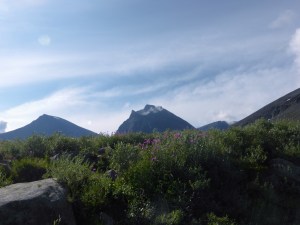 (c) Dr. Eike Hoffmann