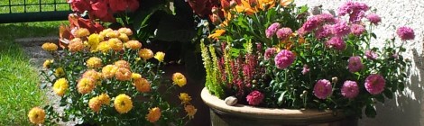 (c) Dr. Eike Hoffmann 2012