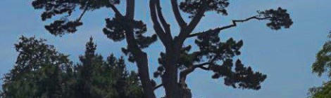 (c) Dr. Eike Hoffmann