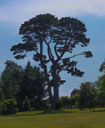 (c) Dr. Eike Hoffmann