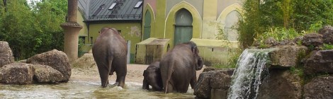 (c) Eike Hoffmann 2013