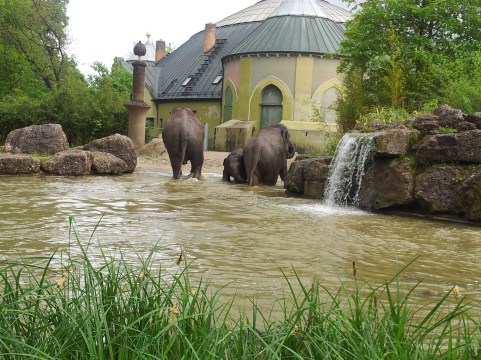 (c) Eike Hoffmann 2013