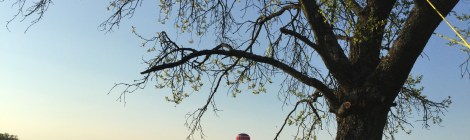 (c) Dr. Eike Hoffmann 2015