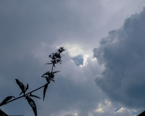 (c) Eike Hoffmann 2015