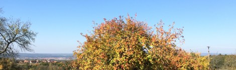 (c) Eike Hoffmann 2015