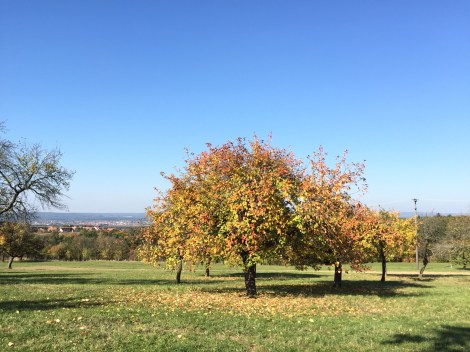 (c) Eike Hoffmann 2015