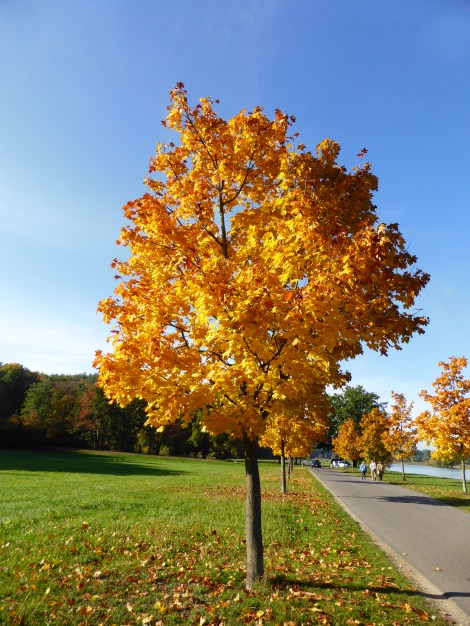 (c) Eike Hoffmann 2015