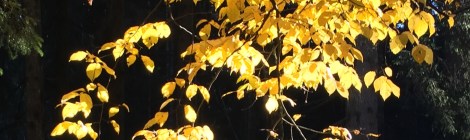 (c) Dr. Eike Hoffmann 2015