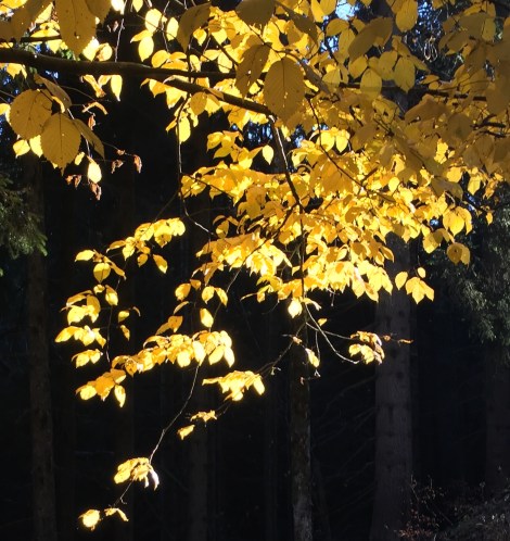 (c) Dr. Eike Hoffmann 2015