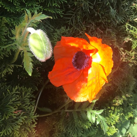 3FF3FBCB-9FF9-4F20-A434-E96A2941CE19