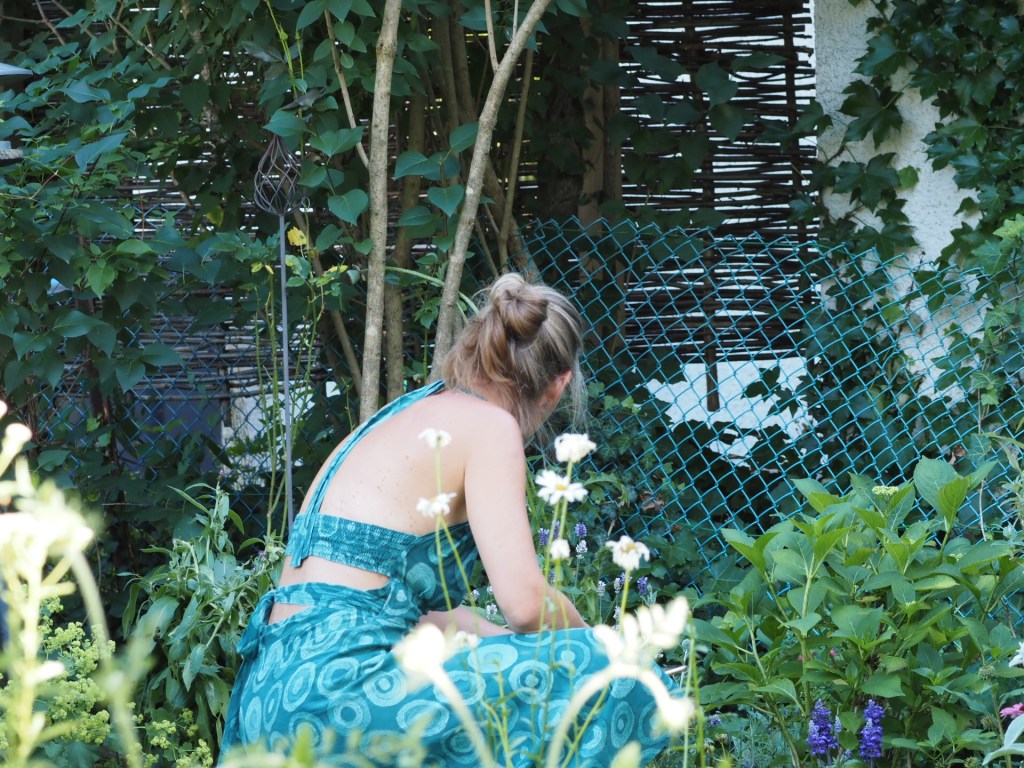 Verschiedene Tagfalter: Tagpfauenauge, Kleiner Kohlweißling, Rapsweißling und Ochsenauge, die Autorin beim Fotografieren in der Wiese